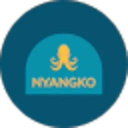 Review From NYANGKO