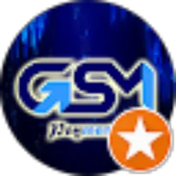 Review From GSM Payment