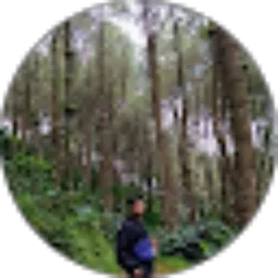 Review From dimas rohman
