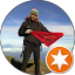 Review From budiono ono