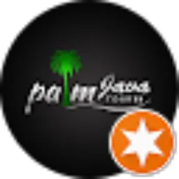 Review From palmjava