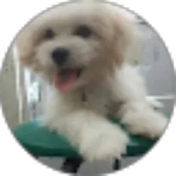 Review From yenz cute