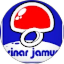 Review From SINAR JAMUR