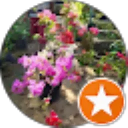 Review From Bangun Mulyo