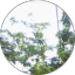 Review From Ihsan CraftRoyale