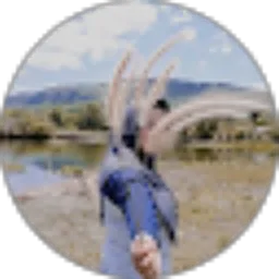 Review From Deswita Ef