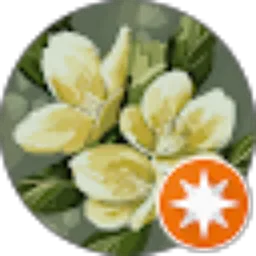 Review From yunan morfosis