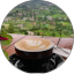 Review From Tina Hasta1