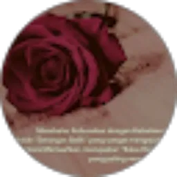 Review From Ana Iana