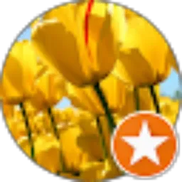 Review From US _