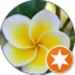 Review From ronald malingkas