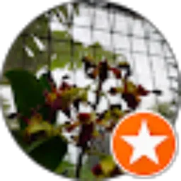 Review From Tukang Kuras AIR