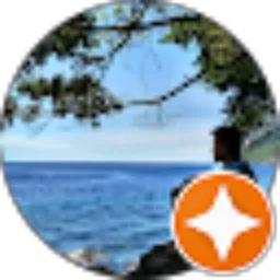Review From endri99 Official