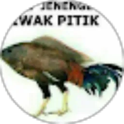 Review From Zacky Priyanto