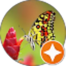 Review From DIED