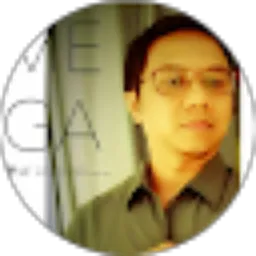 Review From Mega Brata