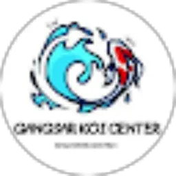 Review From Gangsar Koi center