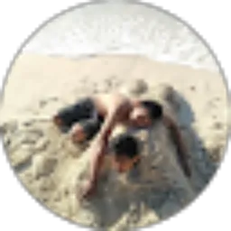 Review From Hunter KillerBH