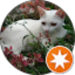 Review From Amby Bob
