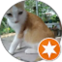 Review From Eggis Hack