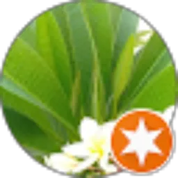 Review From Nur arimbi