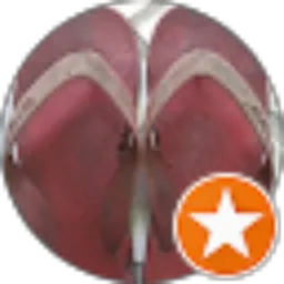 Review From v R