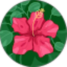 Review From Ben Ethan