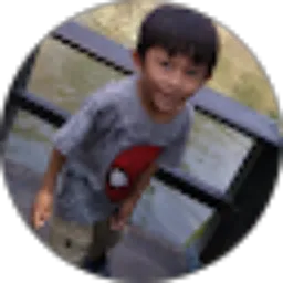 Review From Christopher Daniel Wijaya