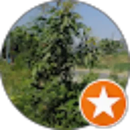 Review From Harys kluyuran