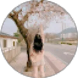 Review From Jeon Lissa