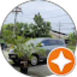 Review From Maruasas Panda