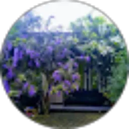 Review From alfin nuriya