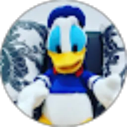 Review From Donald Duck