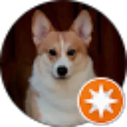 Review From Dimaz