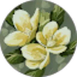 Review From Merlyn Chayanti