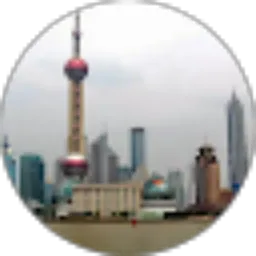 Review From Ellis Li