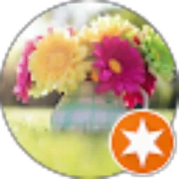 Review From Aiu 44