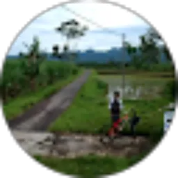 Review From miko andi