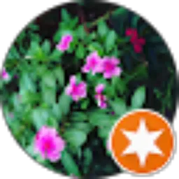 Review From Opay_Jomi