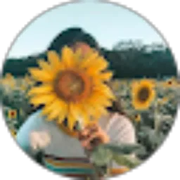 Review From Priscilla Windy
