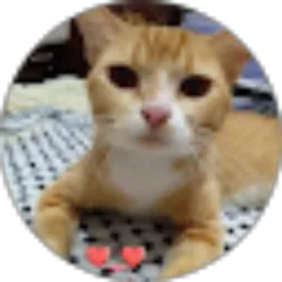Review From Veronika 07