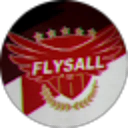 Review From FLYSALL SF