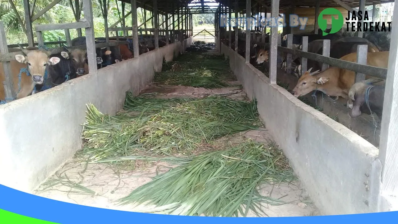 Gambar Sinar Elektronik di Kutai Timur, Kalimantan Timur ke 1