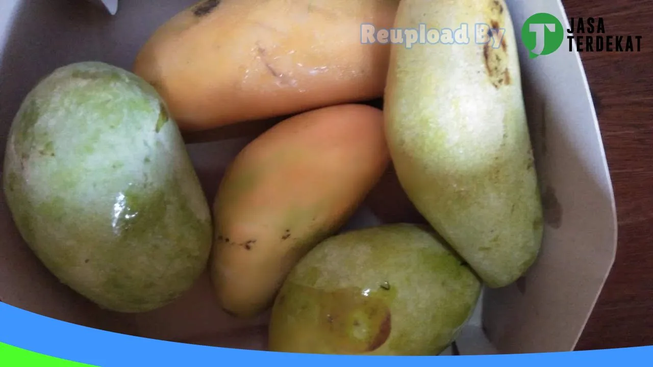 Gambar Toko Suara Kenari di Serang, Banten ke 1
