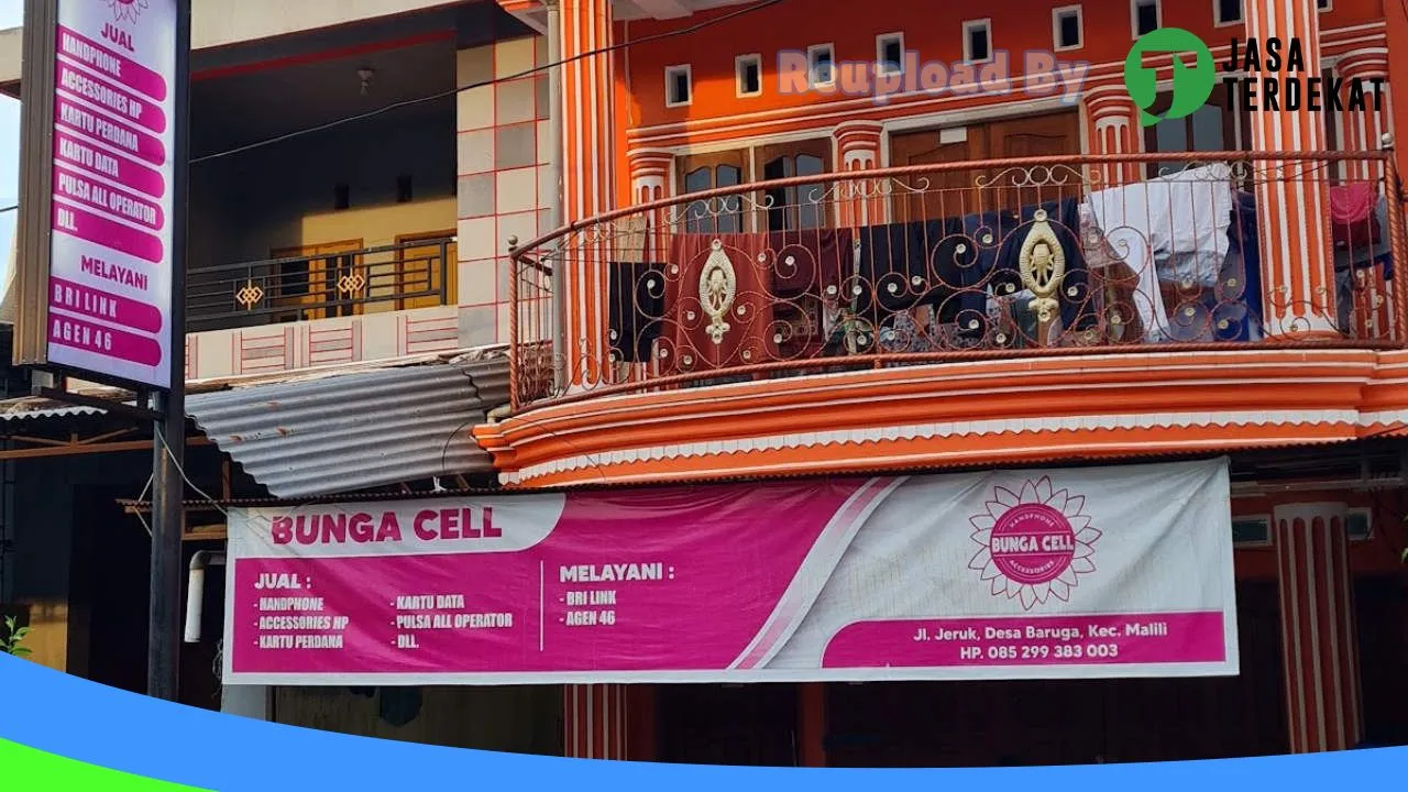 Gambar BUNGA CELL di Luwu Timur, Sulawesi Selatan ke 5