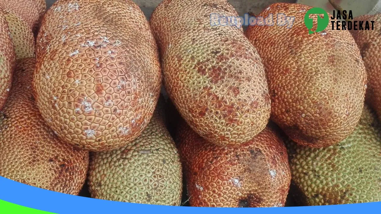 Gambar Toko 3 Saudara di Pulang Pisau, Kalimantan Tengah ke 5