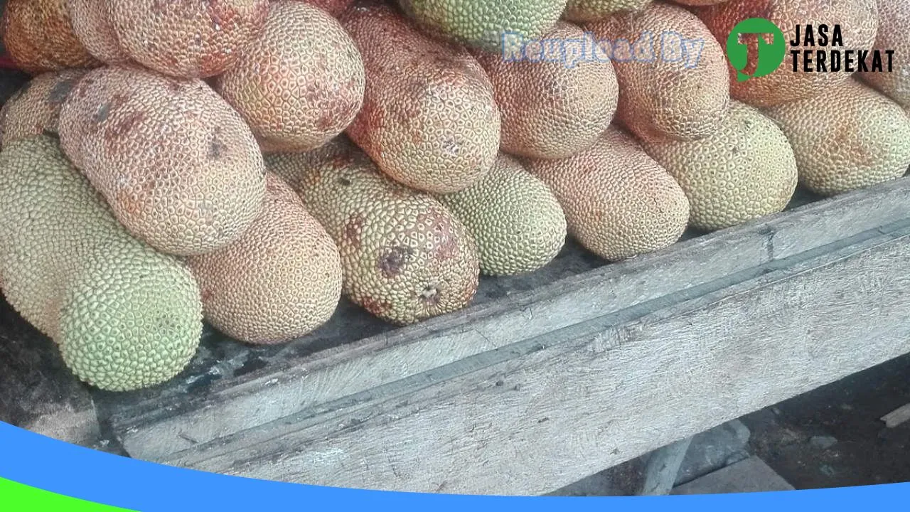 Gambar Toko 3 Saudara di Pulang Pisau, Kalimantan Tengah ke 3