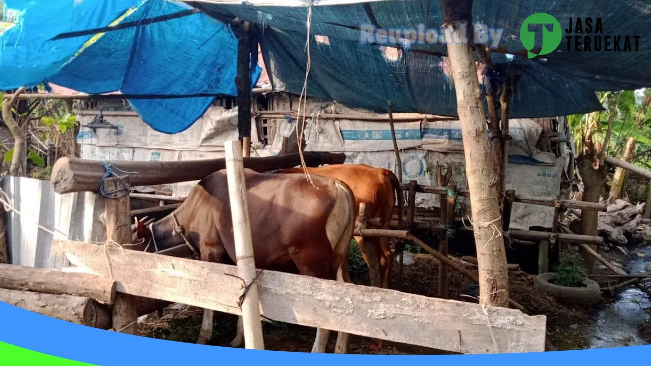 Gambar A-link Techno Solutions di Lombok Barat, Nusa Tenggara Barat ke 1