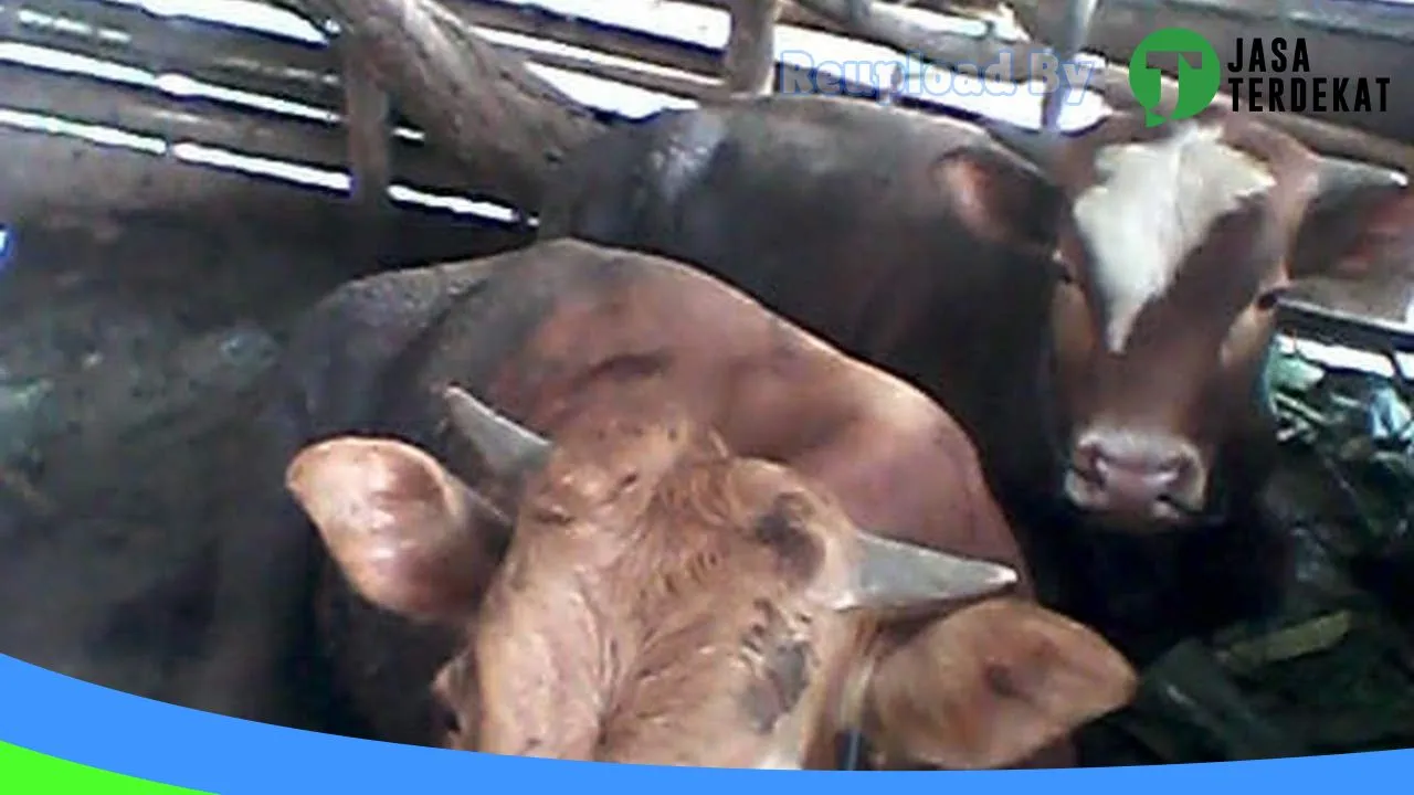 Gambar YASTRO JPI (elektronik ) di Supiori, Papua ke 5