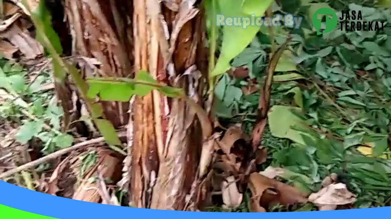 Gambar Bengkel Pompa Air Dan Magic Com di Banyuwangi, Jawa Timur ke 1
